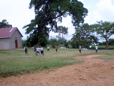 P2020141-1